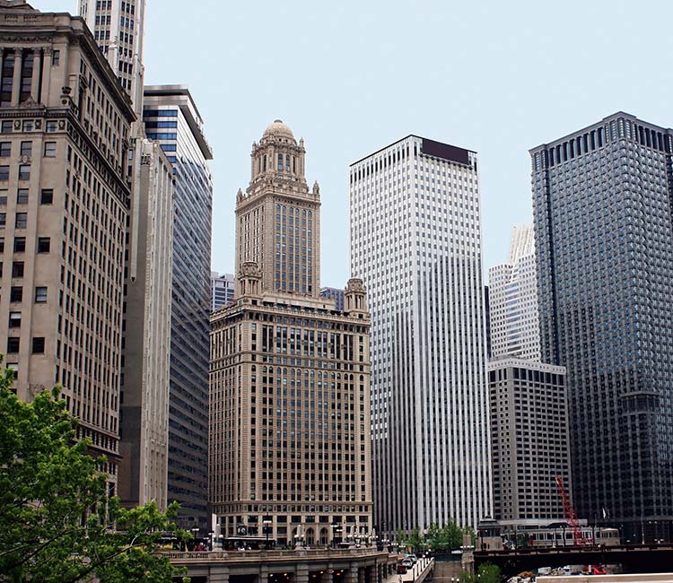 A group of tall buildings in a city under ELEET's commercial pest control