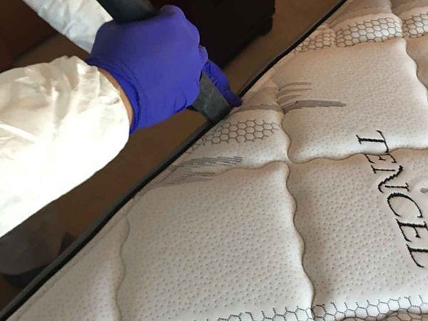 A person cleaning a mattress as part of ELEET's pest control service