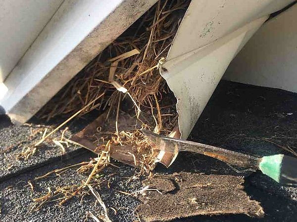 A knife cutting a hole in a gutter for pest-proofing in Schaumburg